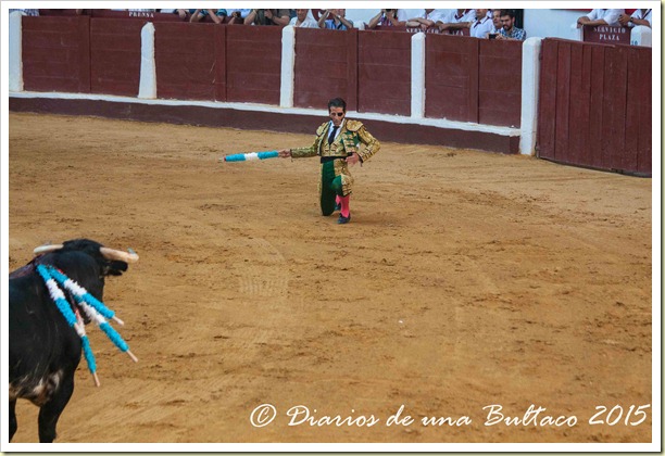 Toros Feria 2015-9866