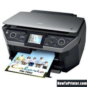 Reset Epson PM-T960 printer by Epson reset software