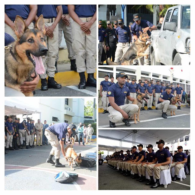 DNCD INTEGRA 24 UNIDADES CANINAS AL COMBATE Y PERSECUCION DEL NARCOTRAFICO