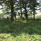 Click to Expand Slave Cemetery
Gleaves Farm
Cripple Creek, Wythe County, Virginia