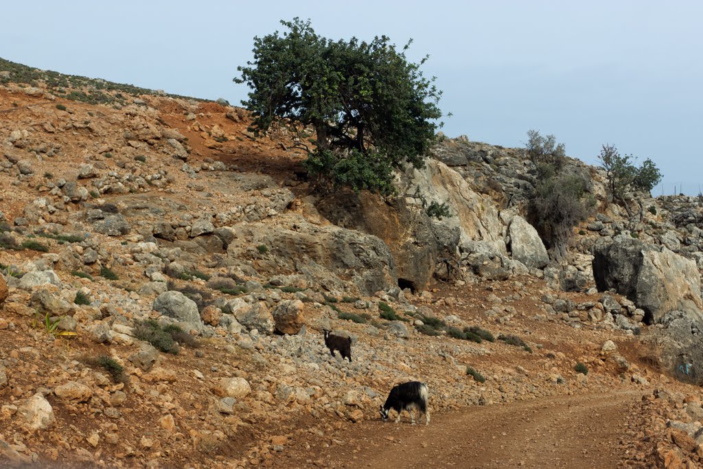2 месяца в Греции. Часть 1: дорога по Балканам – Пелион – Коринфский залив – Афины - Крит