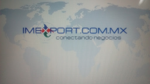 IMEXPORT.COM.MX, Valenciana 213, Industrial, 37340 León, Gto., México, Consultora de marketing | GTO