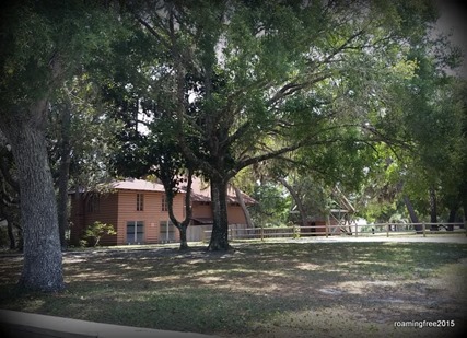 Backyard of the Lodge