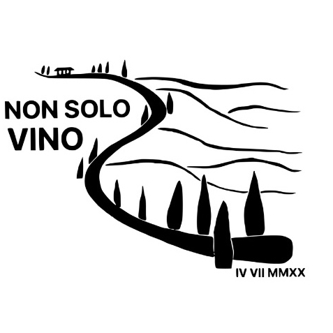 Non Solo Vino logo