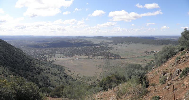 ALREDEDORES DE OLIVENZA: NATURALEZA Y MÁS - OLIVENZA, HIJA DE ESPAÑA Y NIETA DE PORTUGAL (17)