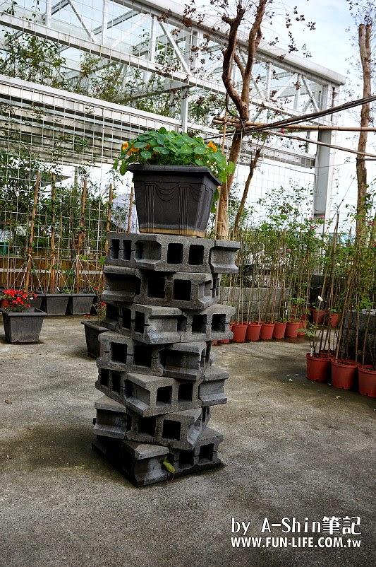 香草菲菲芳香植物博物館