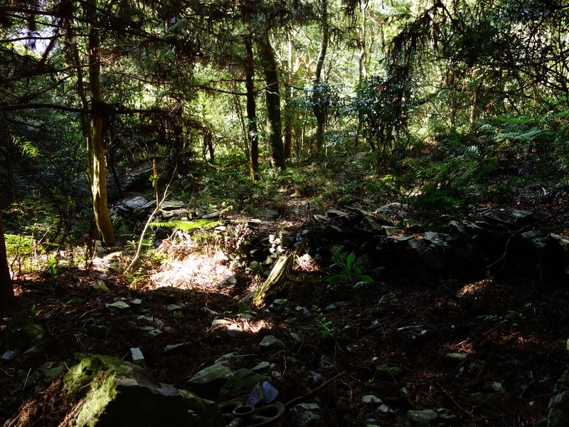 2014_0101-0105 萬山神石、萬山岩雕順訪萬頭蘭山_0287