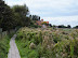 Boardwalks in front of Brancaster Marsh