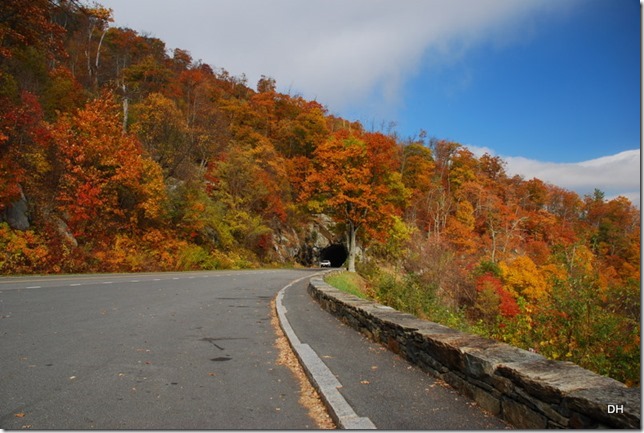 10-23-15 A Skyline Drive Shenandoah NP (125)