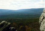 Panoramic view, Michaux State Forest, Pennsylvania.