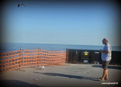 Seagulls after his donut