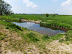 What looks like an old ford across the River Nar