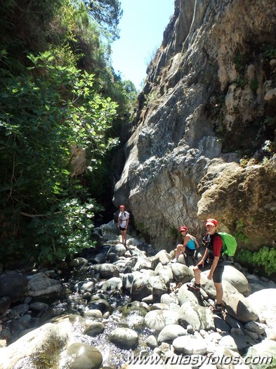 Angosturas del río Guadalmina