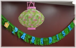 2016-5 SE2 debut and all day crop - flamingo lantern decoration DSC_1441 2016-5 SE2 debut and all day crop - flamingo lantern decoration DSC_1441