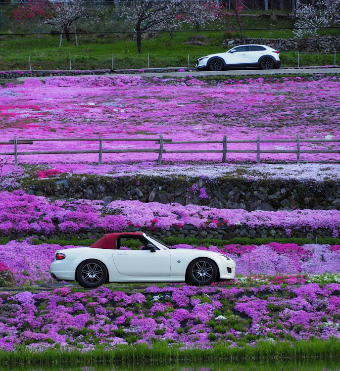 の投稿画像2枚目