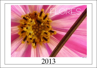 Calendario FLORES para imprimir en casa