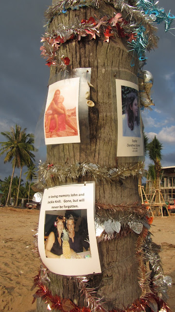 Pictures on a palm tree remembering tsunami victims.