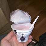 Skyr.is in Reykjavik, Iceland 