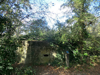 CIMG5433 World War II pillbox, Haysden Country Park