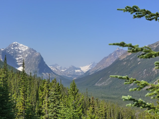 Jasper. Lago Pyramid, Edith Cavell y Glacier Angels, Five Lake, Sky Tram. 7 de J - LAS ROCOSAS DE CANADA. YELLOWSTONE Y GRAND TETON. (8)