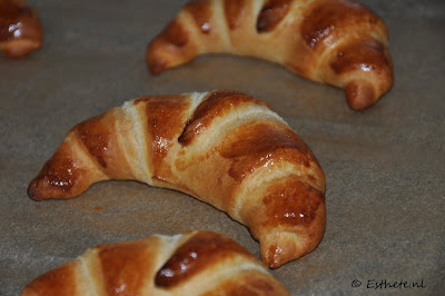 Danerol