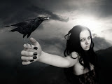 Raven In Arm