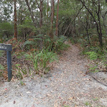 Intersection of Graves Walk and Maidens Brush management trail (228007)