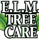 ELM Tree Care