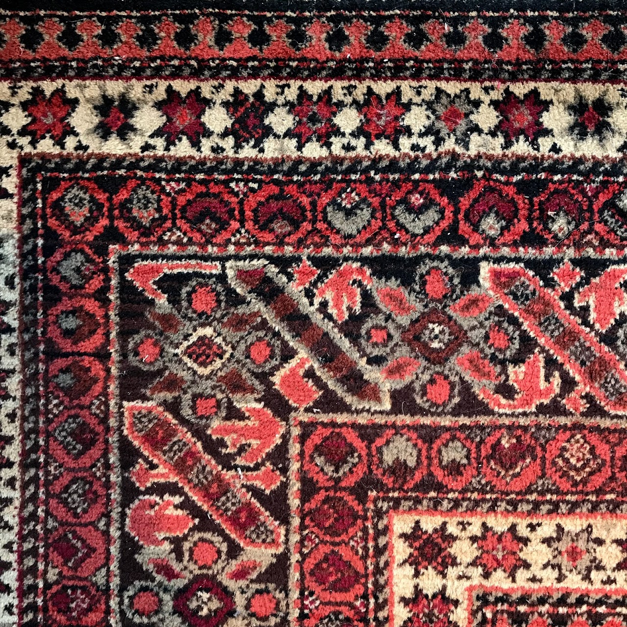 Couristan Wool Area Rug