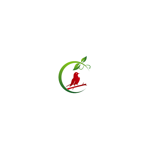 Claire Fitness logo