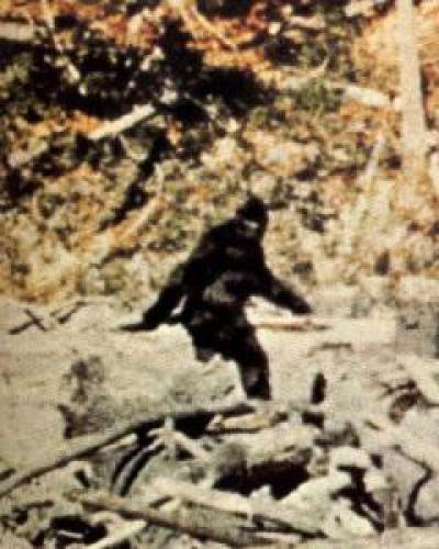 Man Says Bigfoot Throws Rocks At His House