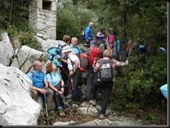 Colla dels Bufets d'Olot