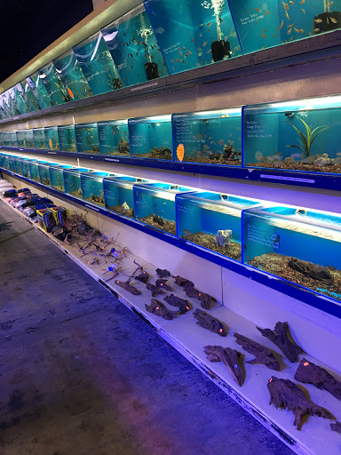 Tropical Fish Store «Aquarium Depot», reviews and photos, 8201 Auburn Blvd, Citrus Heights, CA 95610, USA