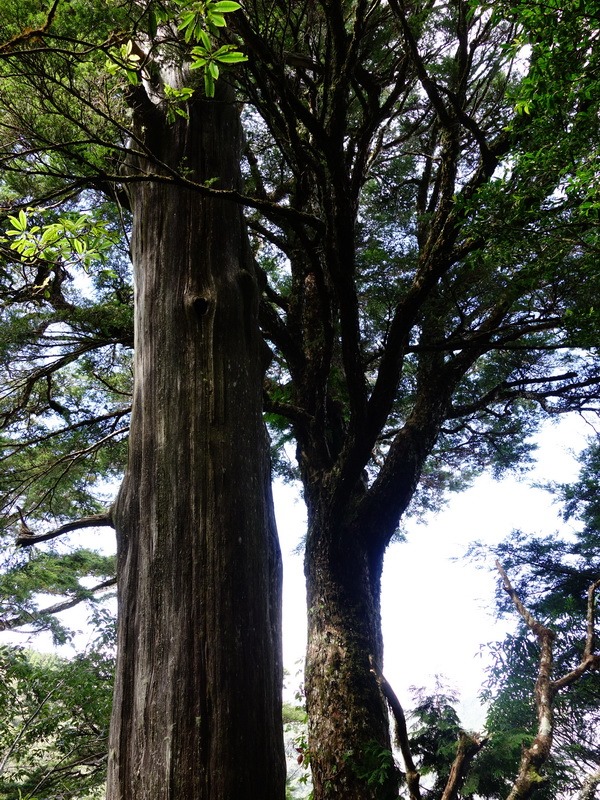 2013_0907-0908 遭遇困難‧遭難山_022