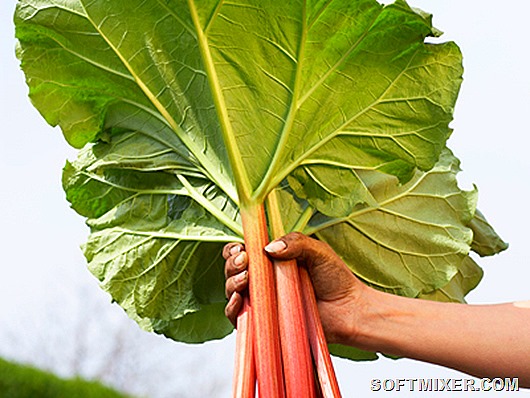 rhubarb