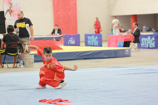 Jin Long Instituto de Wushu Kung Fu, Av Eugenio Garza Sada, Lomas del Valle, Jesús María, Ags., México, Escuela de kung fu | AGS