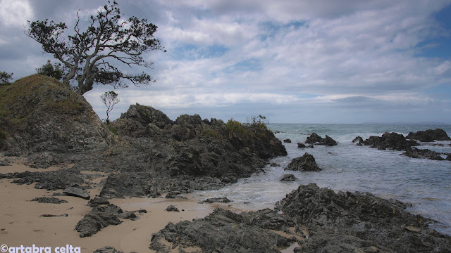 PRIMEROS DÍAS DE RUTA. PAIHIA Y COROMANDEL - NUEVA ZELANDA EN AUTOCARAVANA. UN VIAJE DE ENSUEÑO (14)