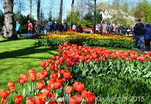 1 .Glória Ishizaka - Keukenhof 2015 - 62