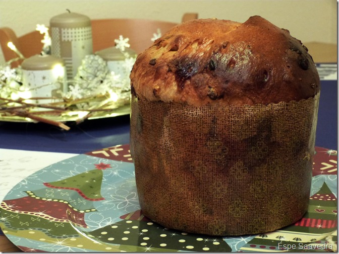 PANETTONE ESPE SAAVEDRA (9)