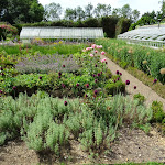 Château Saint-Jean de Beauregard : potager