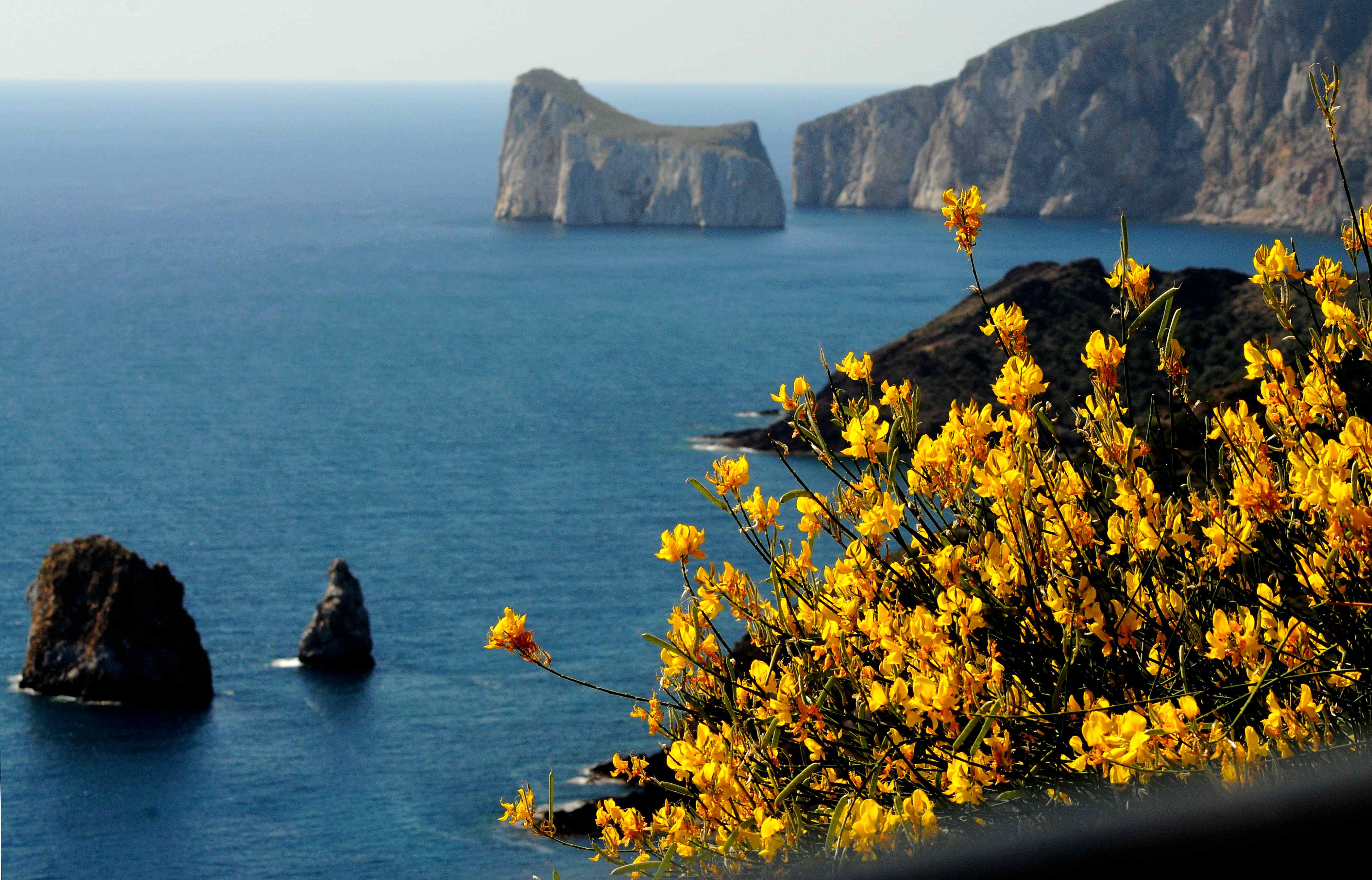 Profumo di mare sardo....Iglesias di tomaso melis