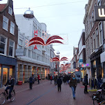  in Leiden, Netherlands 