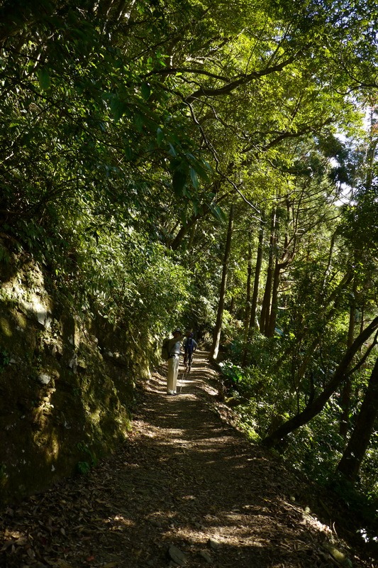 2013_1207 東滿步道→拉卡山→北插天山水源地_042