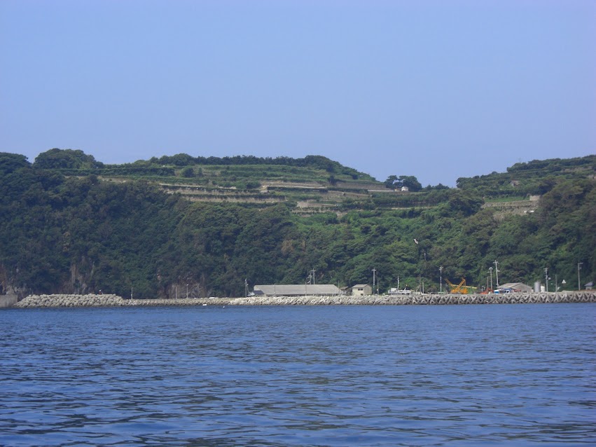 相島港's image 1