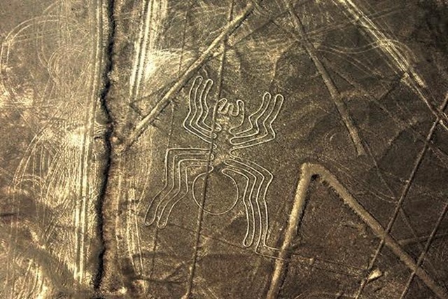 linhas de nazca originais