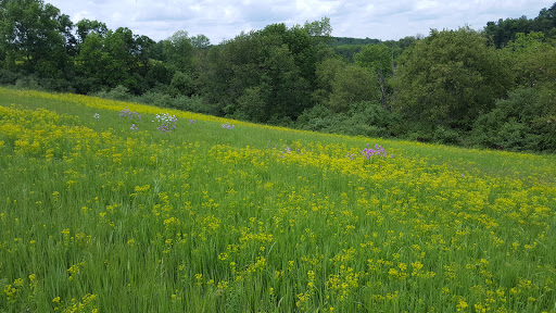 Nature Preserve «Trexler Nature Preserve», reviews and photos, 4935 Orchard Rd, Schnecksville, PA 18078, USA