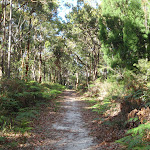 Kanning Walk (233337)