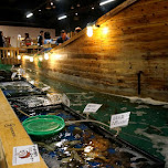 Zauo self-fishing restaurant in Shinjuku, Tokyo - Japan in Shinjuku, Japan 