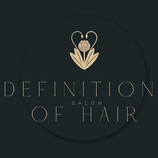 Definition of Hair Salon