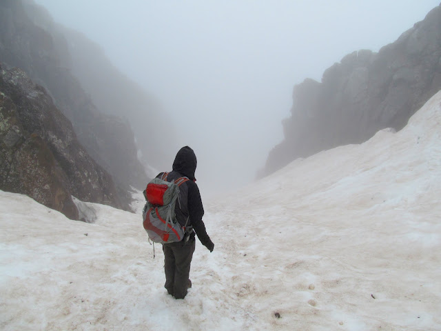 Descending Lavender Col